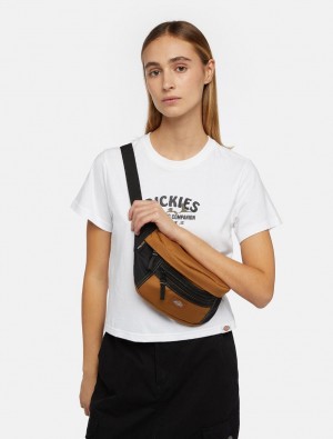 Bolsas Crossbody Dickies Ashville Feminino Marrom | 661647403