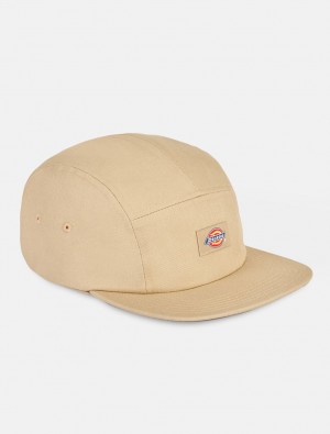 Boné Dickies Albertville Baseball Masculino Caqui | 570012242
