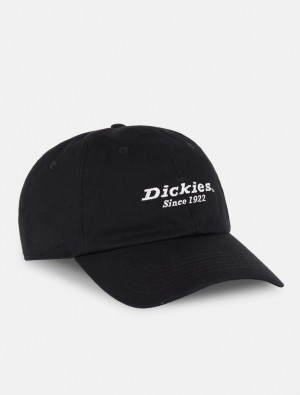 Boné Dickies Everyday Twill Cotton Feminino Pretas | 282123528