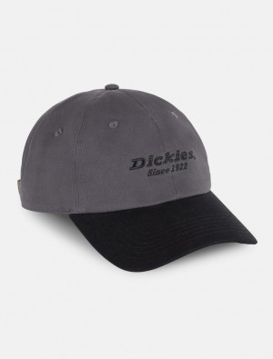 Boné Dickies Everyday Twill Cotton Feminino Cinzentas | 394699043