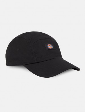 Boné Dickies Fincastle Baseball Feminino Pretas | 289543224