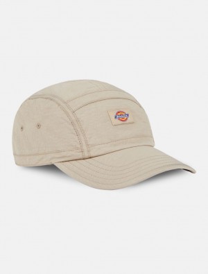 Boné Dickies Fincastle Baseball Masculino Caqui | 715185941
