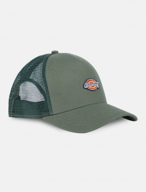 Boné Dickies Hanston Trucker Feminino Verdes | 601330098