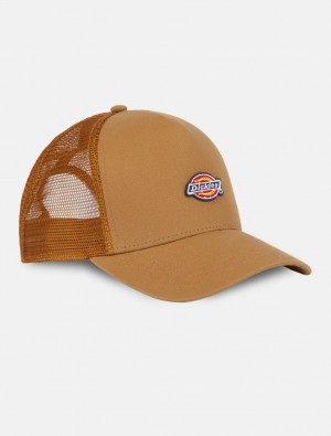Boné Dickies Hanston Trucker Masculino Marrom | 577730352
