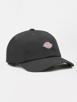 Boné Dickies Hardwick Baseball Feminino Pretas | 925488051