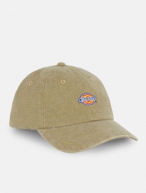 Boné Dickies Hardwick Baseball Masculino Verde Oliva | 110851086