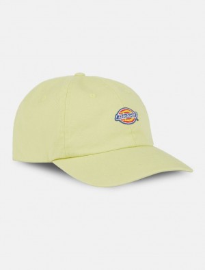 Boné Dickies Hardwick Baseball Masculino Amarelas | 752363734