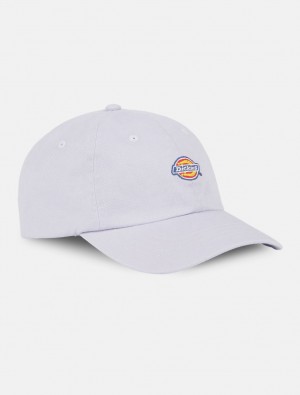 Boné Dickies Hardwick Baseball Masculino Lavanda | 172229697