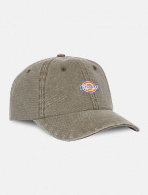 Boné Dickies Hardwick Baseball Masculino Cinzentas | 266350393