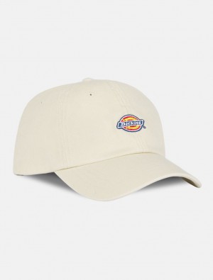 Boné Dickies Hardwick Baseball Masculino Branco | 716907261