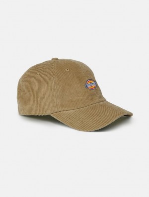 Boné Dickies Hardwick Cord Baseball Masculino Caqui | 265867339