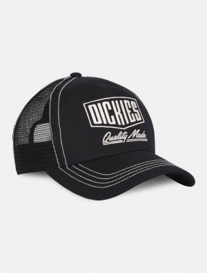 Boné Dickies Philipsburg Trucker Feminino Pretas | 522207939