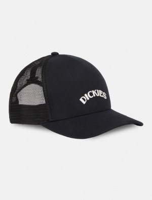 Boné Dickies Shawsville Trucker Feminino Pretas | 652407758