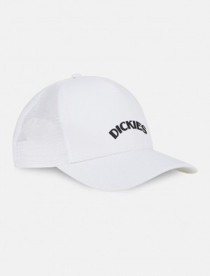 Boné Dickies Shawsville Trucker Masculino Branco | 782460084