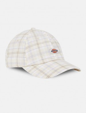 Boné Dickies Surry Baseball Masculino Branco | 966050330