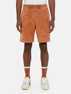 Calção Dickies Chase City Masculino Marrom | 468011624