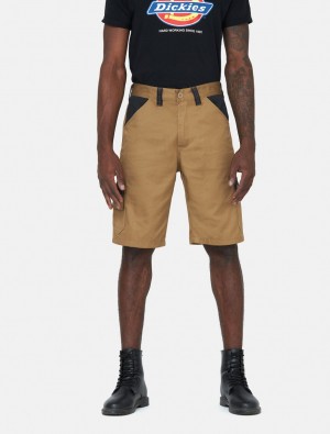 Calção Dickies Everyday Masculino Caqui | 315235675