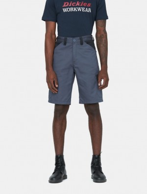 Calção Dickies Everyday Masculino Cinzentas | 72889266