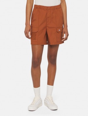 Calção Dickies Fishersville Feminino Marrom | 463924342