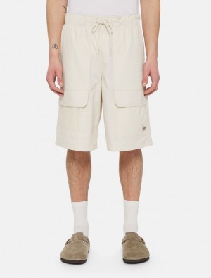 Calção Dickies Fishersville Masculino Branco | 702682287