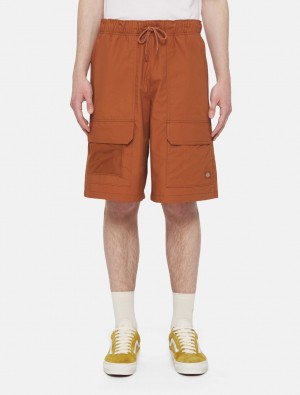 Calção Dickies Fishersville Masculino Marrom | 891256577
