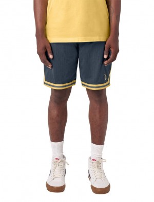 Calção Dickies Guy Mariano Mesh Masculino Azul Marinho | 92118597