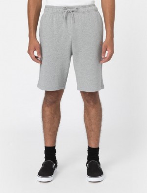 Calção Dickies Mapleton Masculino Cinzentas | 14915012
