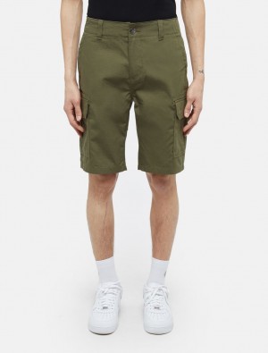 Calção Dickies Millerville Masculino Verde Oliva | 598239202