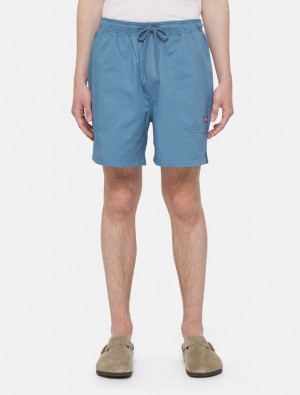 Calção Dickies Pelican Rapids Masculino Azuis | 524232620