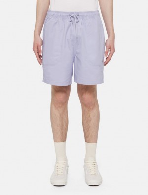 Calção Dickies Pelican Rapids Masculino Lavanda | 991678648