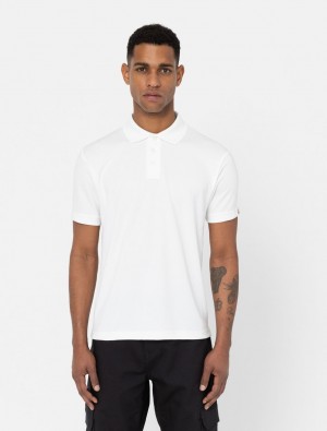 Camisa Polo Dickies Everyday Masculino Branco | 140018565