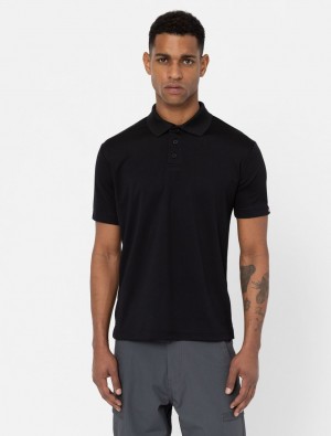 Camisa Polo Dickies Everyday Masculino Pretas | 484718204