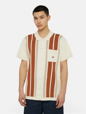 Camisa Polo Dickies Fieldale Knitted Masculino Branco | 522398566