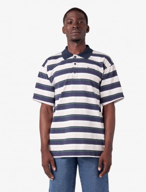 Camisa Polo Dickies Guy Mariano Masculino Azuis | 723449539