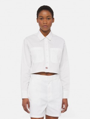 Camisas Dickies Culpeper Long Sleeve Feminino Branco | 552040678