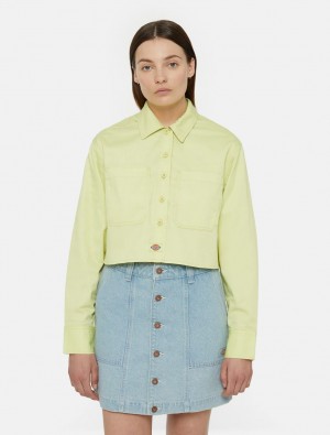 Camisas Dickies Culpeper Long Sleeve Feminino Amarelas | 873722126