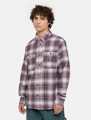 Camisas Dickies Evansville Long Sleeve Masculino Roxo | 748590375
