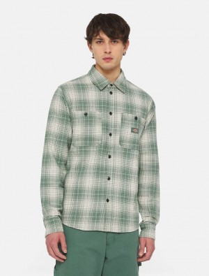 Camisas Dickies Evansville Long Sleeve Masculino Verdes | 78367754