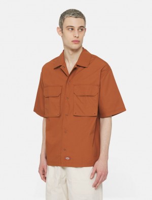 Camisas Dickies Fishersville Short Sleeve Masculino Marrom | 465886993