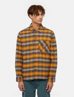 Camisas Dickies Forest Check Masculino Laranja | 891662650