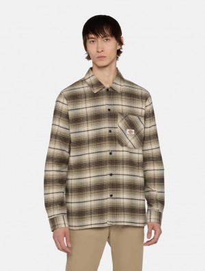 Camisas Dickies Forest Check Masculino Verdes | 966201294