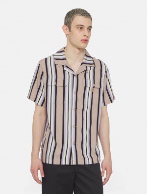 Camisas Dickies Forest Short Sleeve Masculino Caqui | 708253130