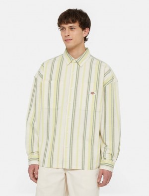 Camisas Dickies Glade Spring Long Sleeve Masculino Amarelas | 463174719