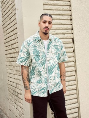 Camisas Dickies Max Meadows Short Sleeve Masculino Marrom | 906548902