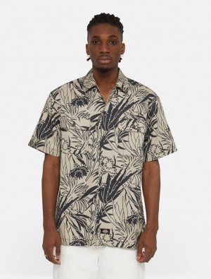 Camisas Dickies Max Meadows Short Sleeve Masculino Marrom | 557376333