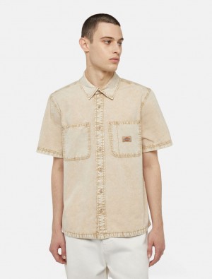 Camisas Dickies Newington Short Sleeve Masculino Caqui | 876249287