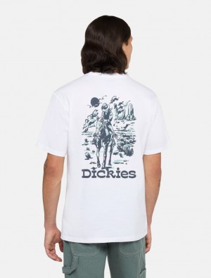 Camiseta Dickies Absarokee Masculino Branco | 922711620