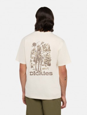 Camiseta Dickies Absarokee Masculino Branco | 434926375