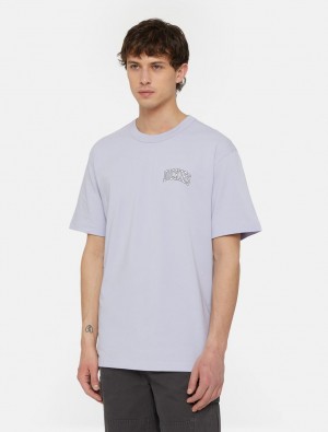 Camiseta Dickies Aitkin Chest Logo Short Sleeve Masculino Lavanda | 83301824