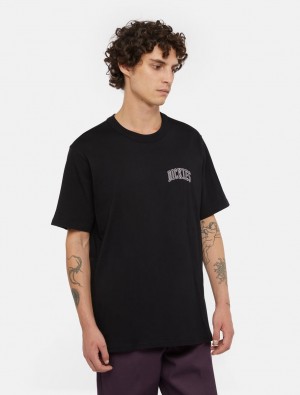 Camiseta Dickies Aitkin Chest Logo Short Sleeve Masculino Pretas | 294589568